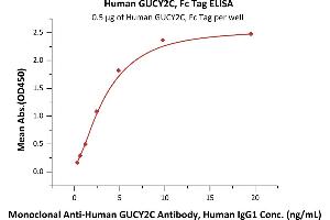 Immobilized Human GUCY2C, Fc Tag (ABIN6973086) at 5 μg/mL (100 μL/well) can bind Monoclonal A GUCY2C Antibody, Human IgG1 with a linear range of 0.
