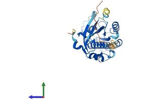 Protein Structure (PS) image for RAB34, Member RAS Oncogene Family (RAB34) (AA 1-259) protein (His tag) (ABIN7551143)
