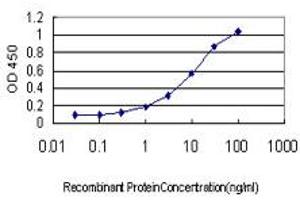 Detection limit for recombinant GST tagged ATN1 is approximately 0. (Atrophin 1 抗体  (AA 1-110))