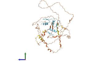 Protein Structure (PS) image for Kruppel-Like Factor 5 (Intestinal) (KLF5) (AA 1-457) protein (His tag) (ABIN7548718)