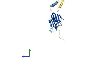 Protein Structure (PS) image for Tumor Necrosis Factor (Ligand) Superfamily, Member 14 (TNFSF14) (AA 1-240) protein (His tag) (ABIN7544497)