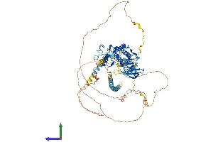 Protein Structure (PS) image for Cyclin-Dependent Kinase 11B (CDK11B) (AA 1-784) protein (His tag) (ABIN7563004)