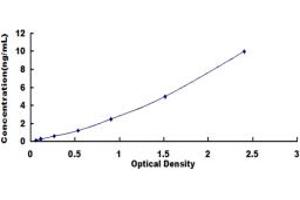 Paxillin (PXN) ELISA Kit
