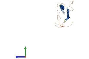 Protein Structure (PS) image for Keratin 81 (KRT81) (AA 1-505) protein (His tag) (ABIN7548913)