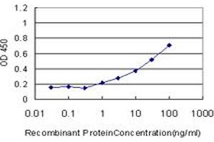 Detection limit for recombinant GST tagged GDF11 is approximately 1ng/ml as a capture antibody. (GDF11 抗体  (AA 310-407))