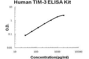 Human  TIM-3 PicoKine ELISA Kit standard curve (TIM3 ELISA 试剂盒)