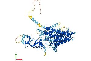 Protein Structure (PS) image for Chloride Channel Ka (CLCNKA) (AA 1-687) protein (His tag) (ABIN7556273)