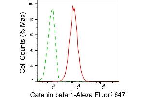 Flow cytometric analysis of Catenin beta 1 expression in C2C12 cells using Catenin beta 1 antibody (ABIN7797930), 1:2,000). (CTNNB1 抗体)