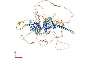 Protein Structure (PS) image for Endothelial PAS Domain Protein 1 (EPAS1) (AA 1-874) protein (His tag) (ABIN7563556)
