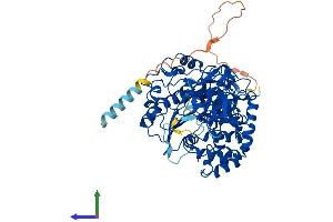 Protein Structure (PS) image for UDP-N-Acetyl-alpha-D-Galactosamine:polypeptide N-Acetylgalactosaminyltransferase 10 (GalNAc-T10) (GALNT10) (AA 1-603) protein (His tag) (ABIN7558023)