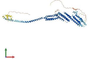 Protein Structure (PS) image for Component of Oligomeric Golgi Complex 8 (COG8) (AA 1-612) protein (His tag) (ABIN7546667)