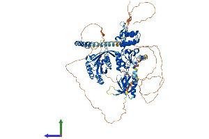 AlphaFold protein structure predicition of Human Recombinant AGAP3 Protein, UniprotID Q96P47 (AGAP3 Protein (AA 1-875) (His tag))