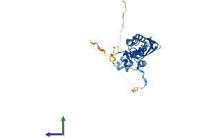 Protein Structure (PS) image for Potassium Channel Tetramerisation Domain Containing 15 (KCTD15) (AA 1-283) protein (His tag) (ABIN7559431)