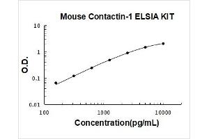 Contactin 1 (CNTN1) ELISA Kit