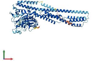Protein Structure (PS) image for Guanylate Binding Protein 6 (GBP6) (AA 1-633) protein (His tag) (ABIN7547867)