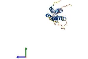 Protein Structure (PS) image for Angiotensin II Receptor-Associated Protein (AGTRAP) (AA 1-159) protein (His tag) (ABIN7552588)