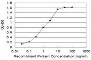 Detection limit for recombinant GST tagged FADD is approximately 0. (FADD 抗体  (AA 109-208))