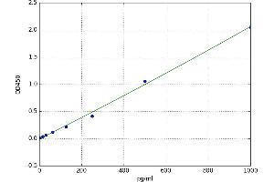 A typical standard curve