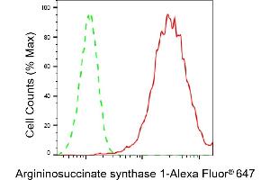 Flow cytometric analysis of Argininosuccinate synthase 1 expression in HepG2 cells using Argininosuccinate synthase 1 antibody (ABIN7797647), 1:2,000). (ASS1 抗体)