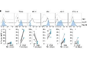 Representative example and average expression of the indicated inhibitory receptorson MAIT cells over time in culture (n = 6–8) using LAG-3 antibody (ABIN1169105). (LAG3 抗体  (N-Term))