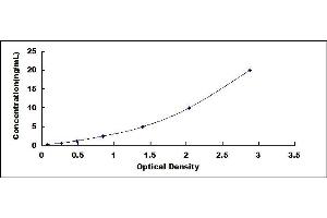 Typical standard curve (LTBP2 ELISA 试剂盒)