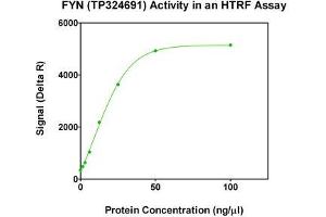 Bioactivity measured with Activity Assay (FYN Protein (Transcript Variant 1) (Myc-DYKDDDDK Tag))