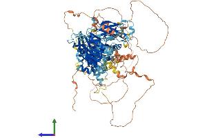 AlphaFold protein structure predicition of Human Recombinant PITPNM3 Protein, UniprotID Q9BZ71