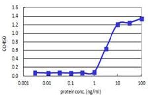 Sandwich ELISA detection sensitivity ranging from 1 ng/ml to 100 ng/ml. (IL8 (人) Matched Antibody Pair)