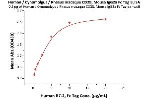 CD28 (CD28) (AA 19-152) (Active) protein (Fc Tag)