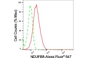 Flow cytometric analysis of NDUFB8 expression in HepG2 cells using NDUFB8 antibody (ABIN7799552), 1:2,000). (Recombinant NDUFB8 抗体)