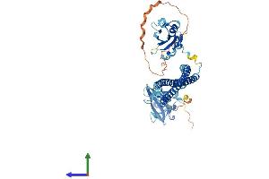 AlphaFold protein structure predicition of Human Recombinant PIK3R3 Protein, UniprotID Q92569