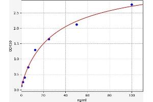 Fatty Acid Binding Protein 1, Liver (FABP1) ELISA Kit