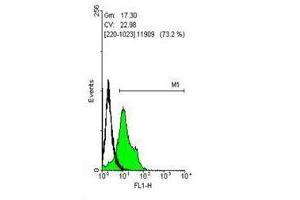 FACS Image Flow cytometry on human embryonic stem cells, staining with SOX2 ,antibody at 1:50 dilution(green) or rabbit IgG (black). (SOX2 抗体)