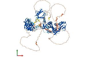 Protein Structure (PS) image for Discs, Large Homolog 3 (DLG3) (AA 1-849) protein (His tag) (ABIN7556667)