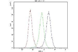 Flow Cytometry analysis of U251 cells using anti-Dynamin 1 antibody (ABIN5692848). (Dynamin 1 抗体  (AA 616-667))