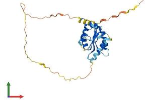 Protein Structure (PS) image for Toll-Interleukin 1 Receptor (TIR) Domain Containing Adaptor Protein (TIRAP) (AA 1-241) protein (His tag) (ABIN7560325)