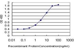 Detection limit for recombinant GST tagged NANOG is approximately 0. (Nanog 抗体  (AA 98-195))
