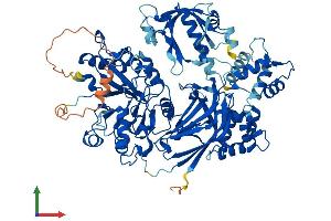 Protein Structure (PS) image for Phospholipase C, delta 4 (PLCD4) (AA 1-762) protein (His tag) (ABIN7554958)