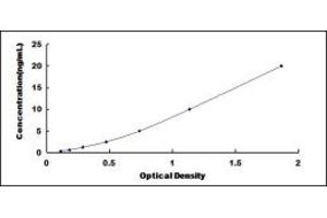 Typical standard curve (MMRN2 ELISA 试剂盒)