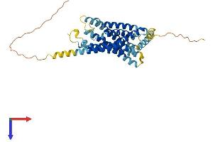 AlphaFold protein structure predicition of Human Recombinant GPER1 Protein, UniprotID Q99527