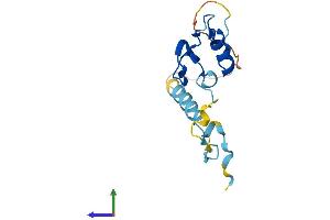 Protein Structure (PS) image for Nanos Homolog 2 (NANOS2) (AA 1-136) protein (His tag) (ABIN7556557)