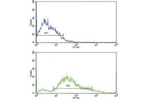 Flow Cytometry (FACS) image for anti-Platelet Derived Growth Factor Receptor beta (PDGFRB) (AA 40-72) antibody (ABIN3029811)