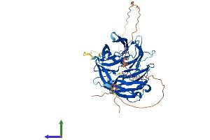 Protein Structure (PS) image for Diphthamide Biosynthesis 7 (DPH7) (AA 1-477) protein (His tag) (ABIN7560760)