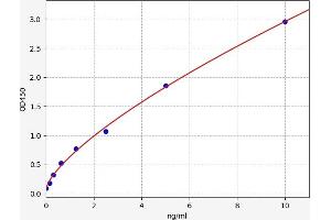 Typical standard curve (Erythroferrone (ERFE) ELISA 试剂盒)