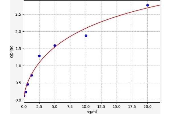 Androgen Receptor ELISA 试剂盒