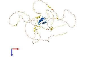 IRX1 Protein (AA 1-480) (His tag)
