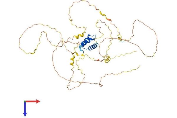 IRX1 Protein (AA 1-480) (His tag)