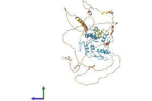 Protein Structure (PS) image for Zinc Finger Protein 652 (ZNF652) (AA 1-606) protein (His tag) (ABIN7545824)