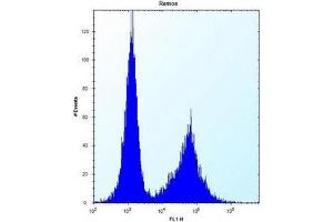Flow cytometric analysis of Ramos cells using Necdin Antibody (N-term) Cat. (NDN 抗体  (N-Term))