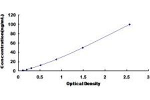 Typical standard curve (RAP1 ELISA 试剂盒)